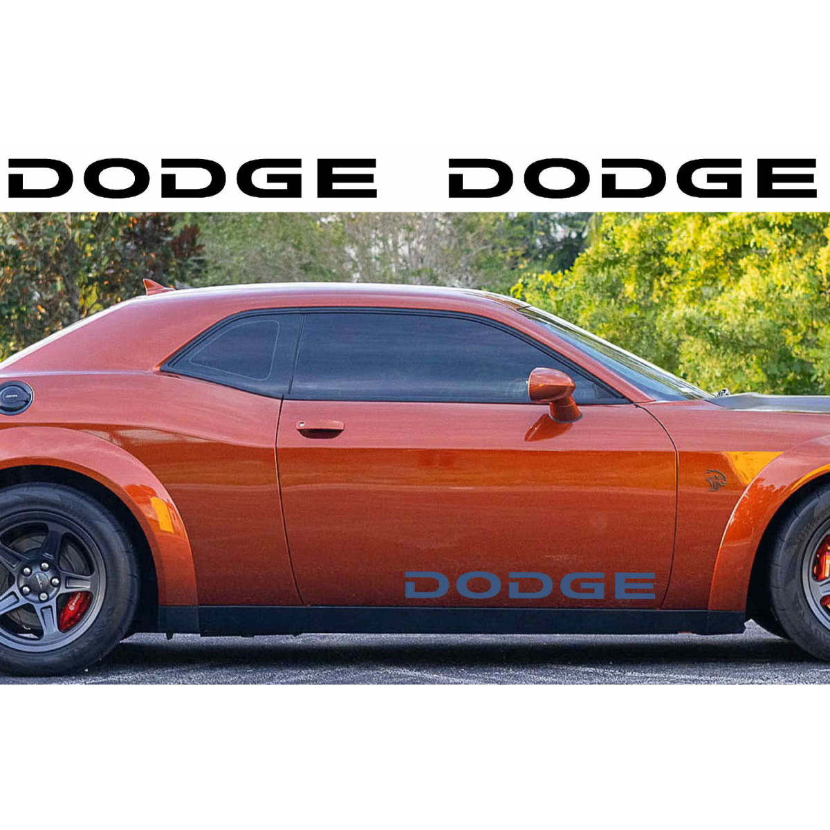 DODGE lipdukai (1#)